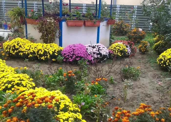 ホステル Ruschuk ルセ